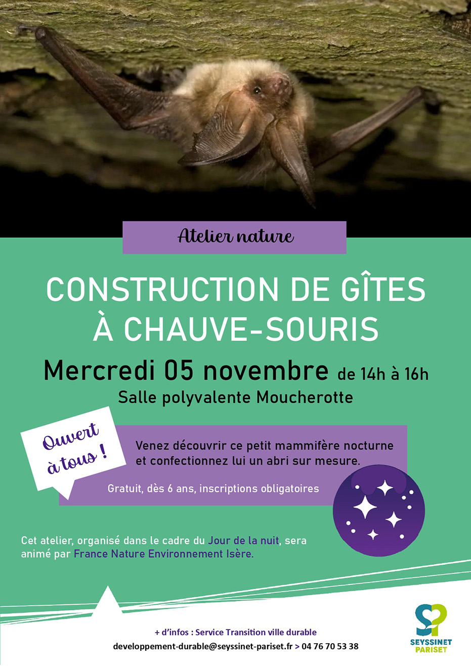 Affiche de l'atelier illustrant une chauve-souris